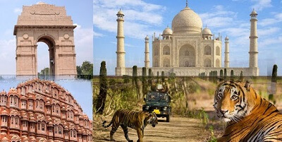 Golden Triangle and Tiger of Ranthambore Packages